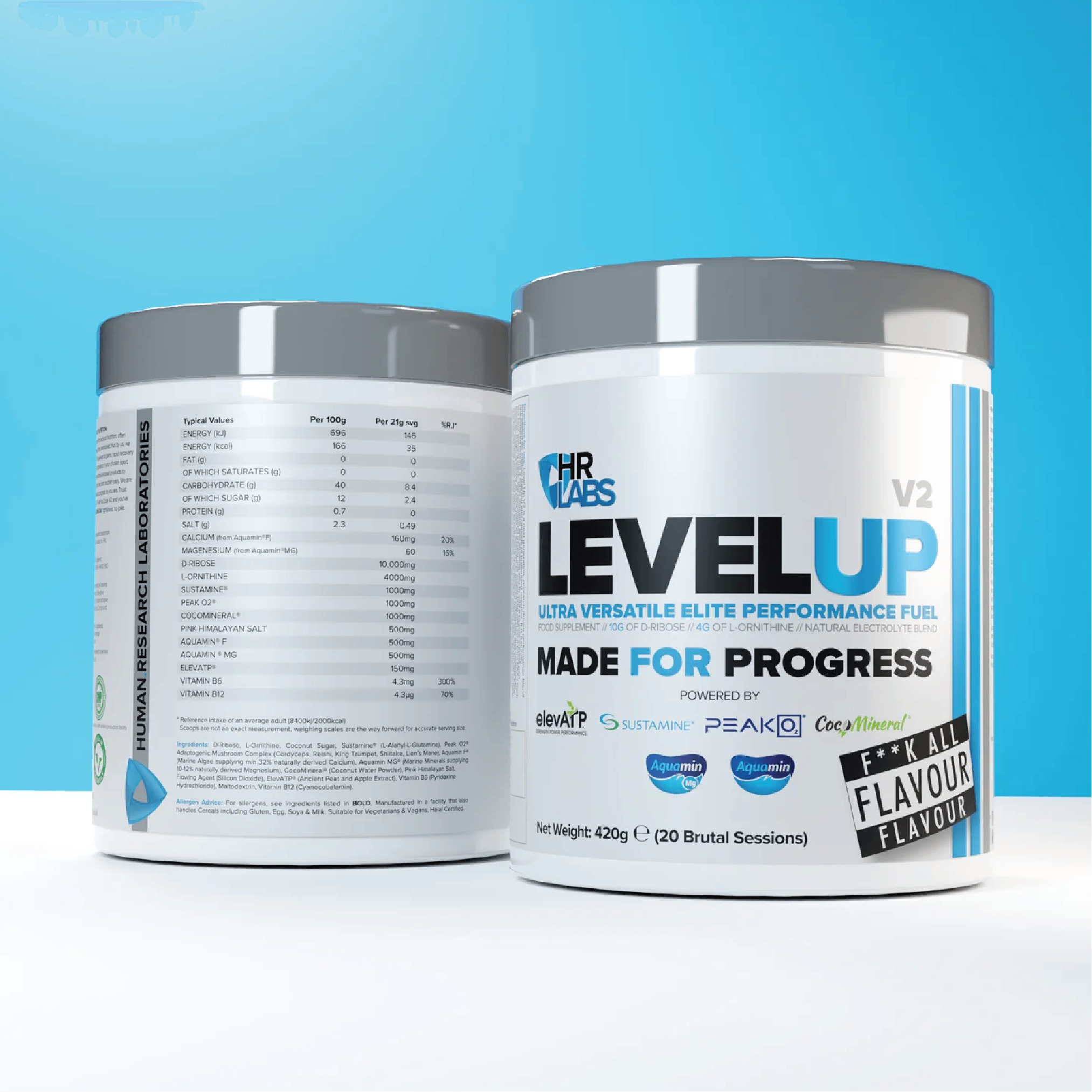 HR LABS - LEVEL UP V2 INTRA WORKOUT FORMULA